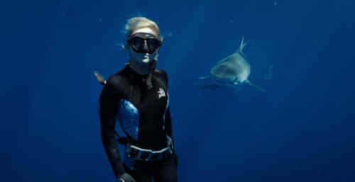 Ocean Ramsey in Die Haiflüsterin (2025)